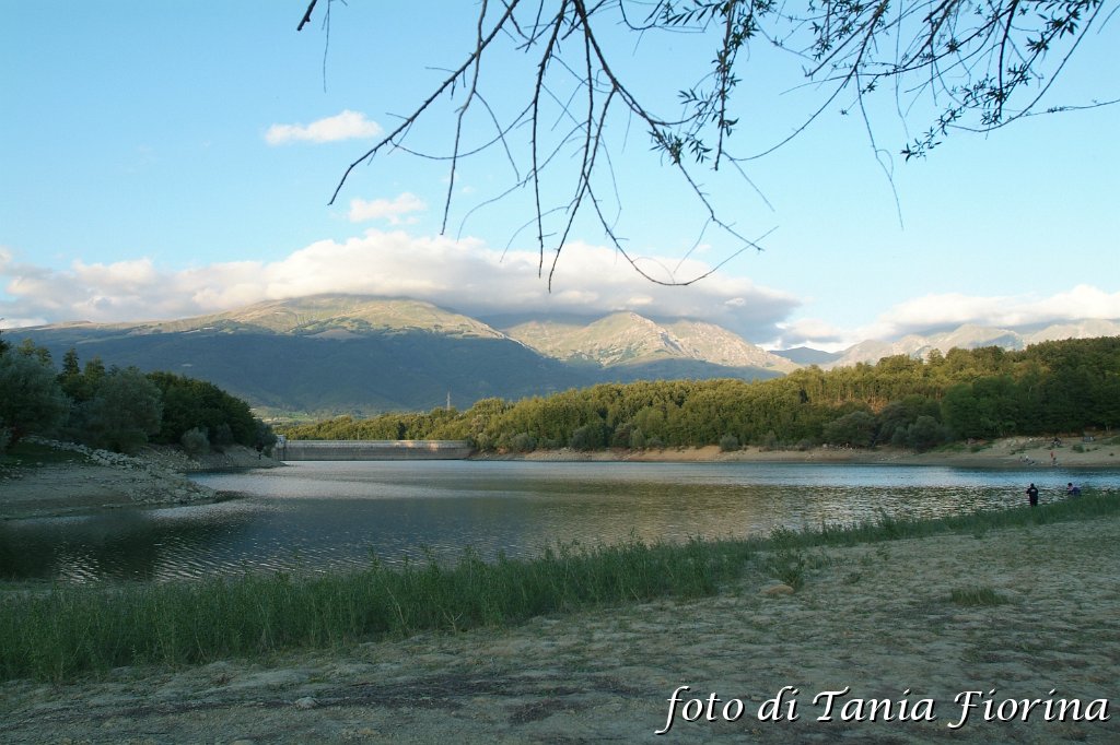 DSCF0296.JPG