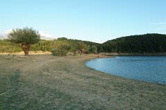 DSCF0280
