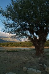 DSCF0284