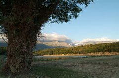DSCF0285