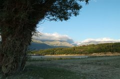 DSCF0286