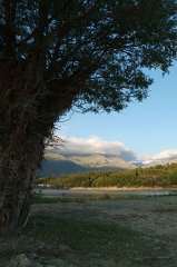 DSCF0287