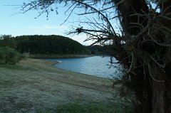 DSCF0294